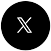 x-icon